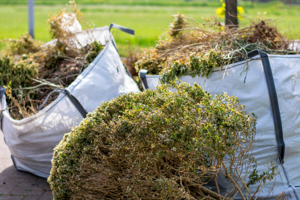 Best Trash Removal Near Me  in Maywood, IL